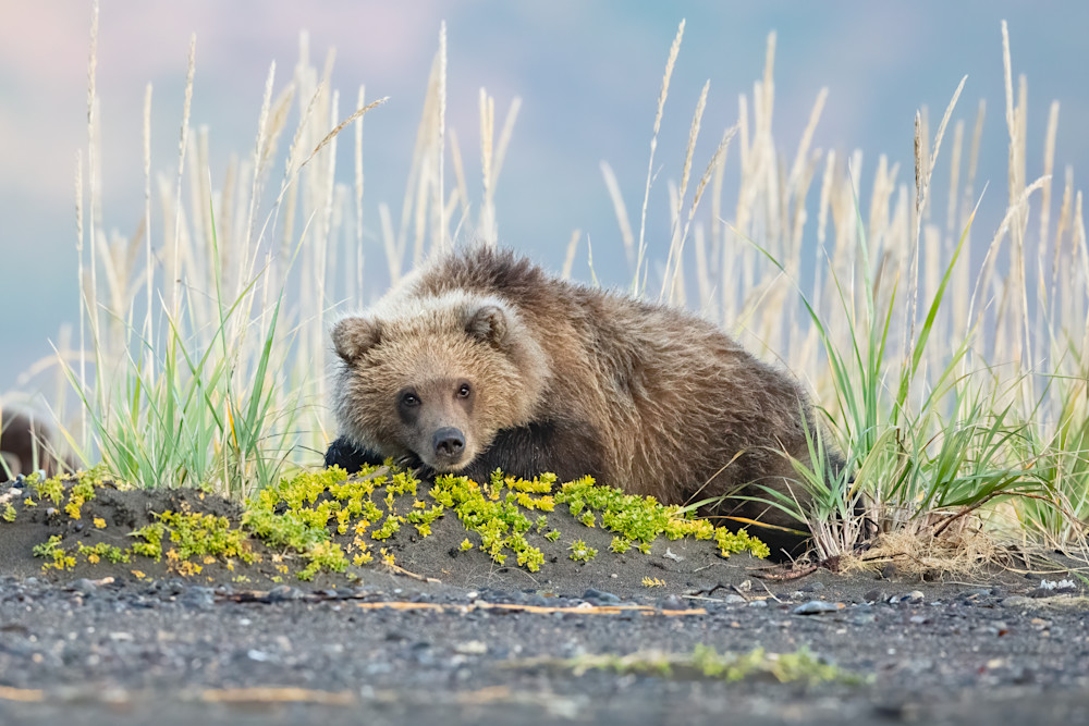 Little One Photography Art | danieldauria Little One Photography Art | danieldauria