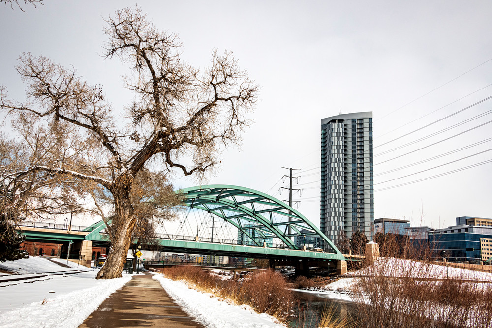 Spooky Tree Besides Bridge Photography Art | Kermit Carlyle Photography 