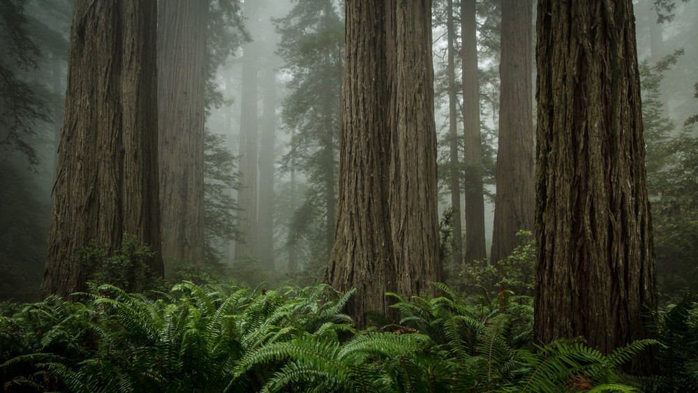 0 Y4 A0721 Photography Art | Captured Adventure Photography