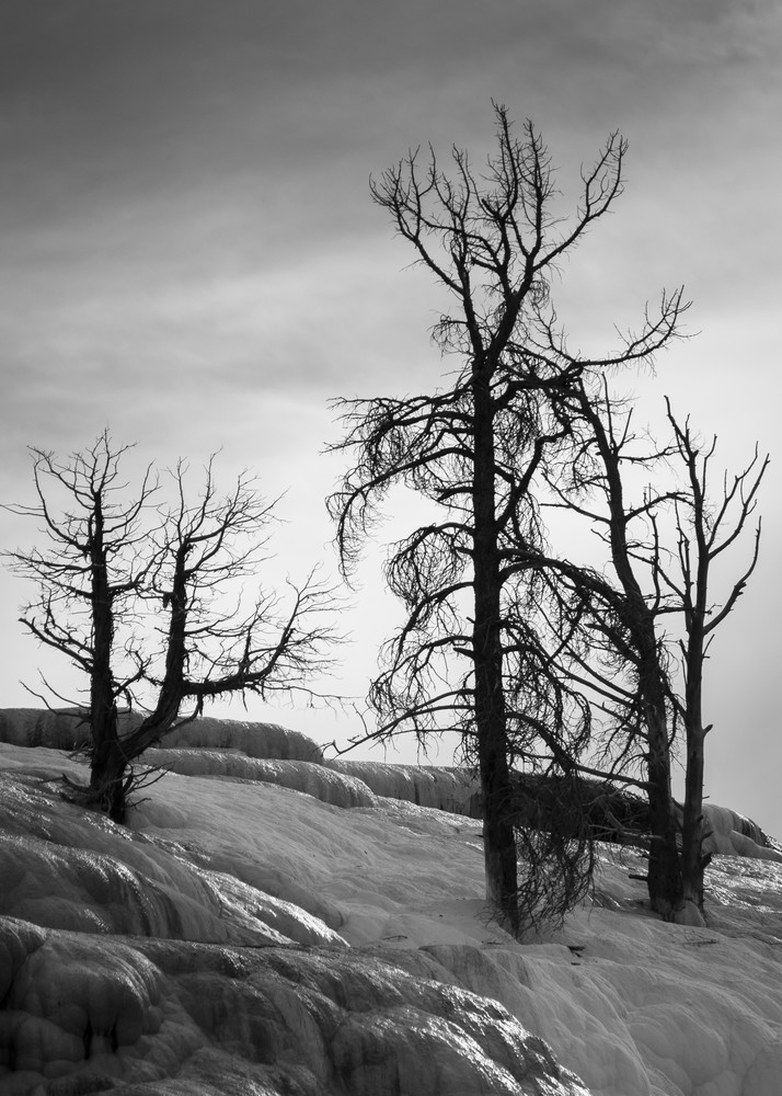 0 Y4 A0170 Photography Art | Captured Adventure Photography