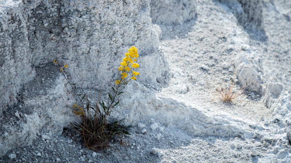 0 Y4 A0275 Photography Art | Captured Adventure Photography