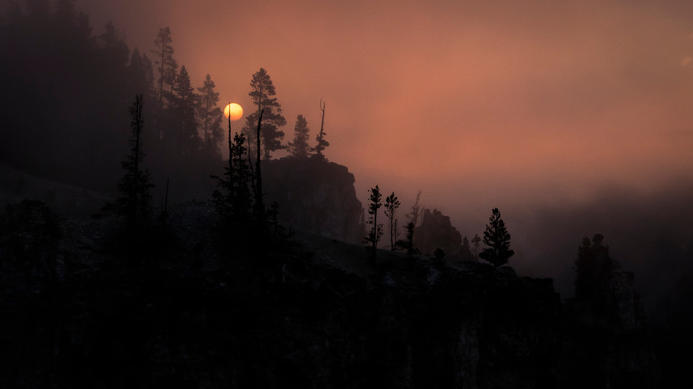 0 Y4 A7881 Photography Art | Captured Adventure Photography