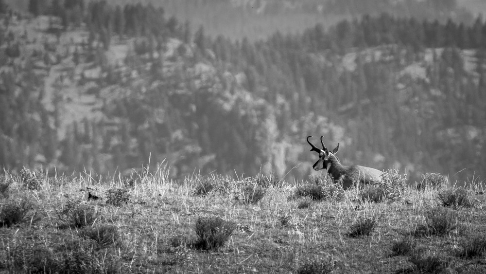 S00 A2774 Photography Art | Captured Adventure Photography