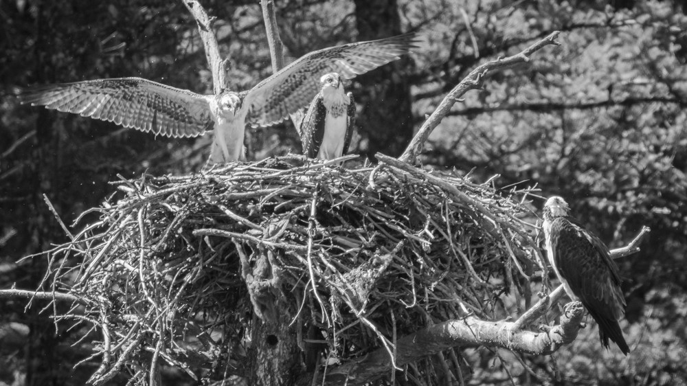 S00 A3226 Photography Art | Captured Adventure Photography