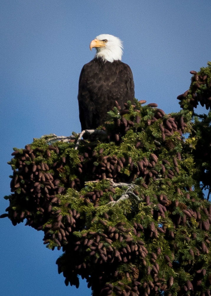 S00 A3619 Photography Art | Captured Adventure Photography