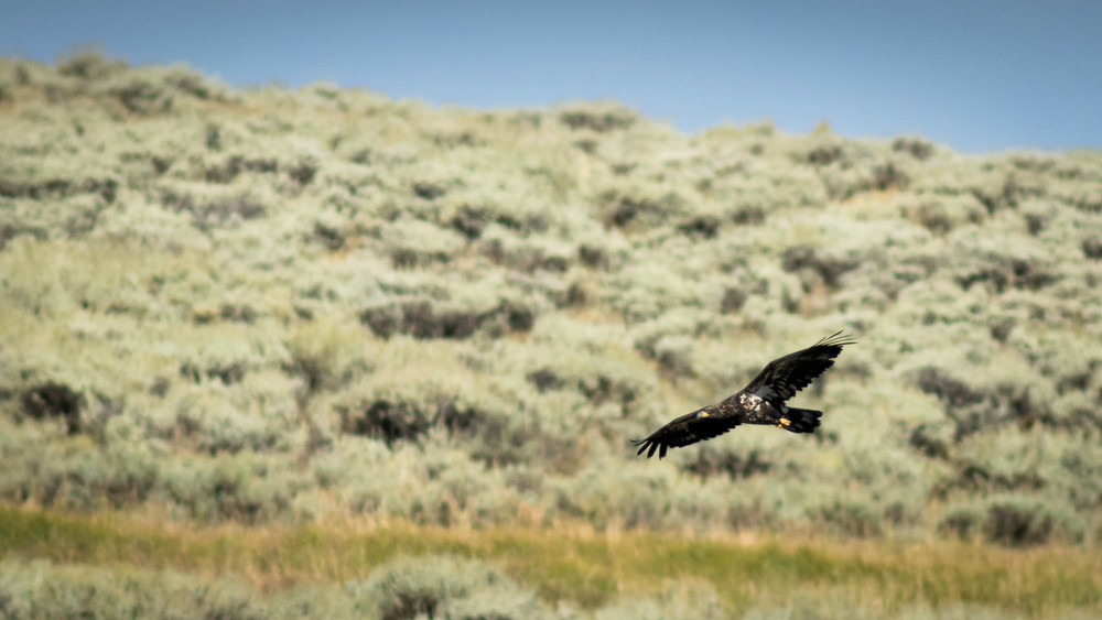 S00 A4422 Photography Art | Captured Adventure Photography