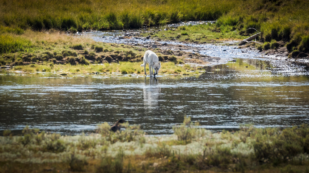 S00 A3951 Photography Art | Captured Adventure Photography