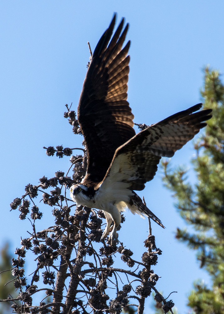 S00 A5350 Photography Art | Captured Adventure Photography