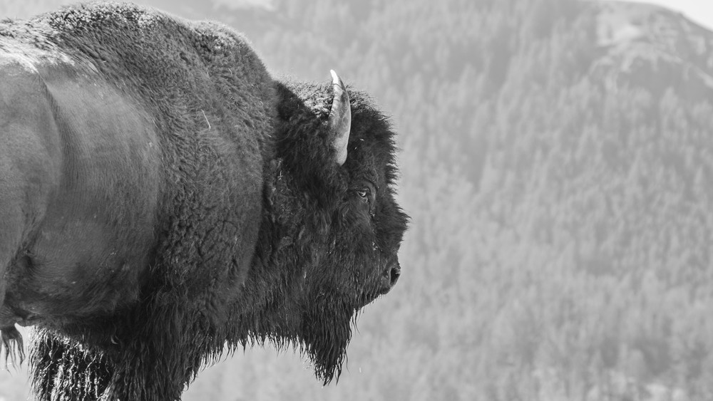 S00 A2852 Photography Art | Captured Adventure Photography