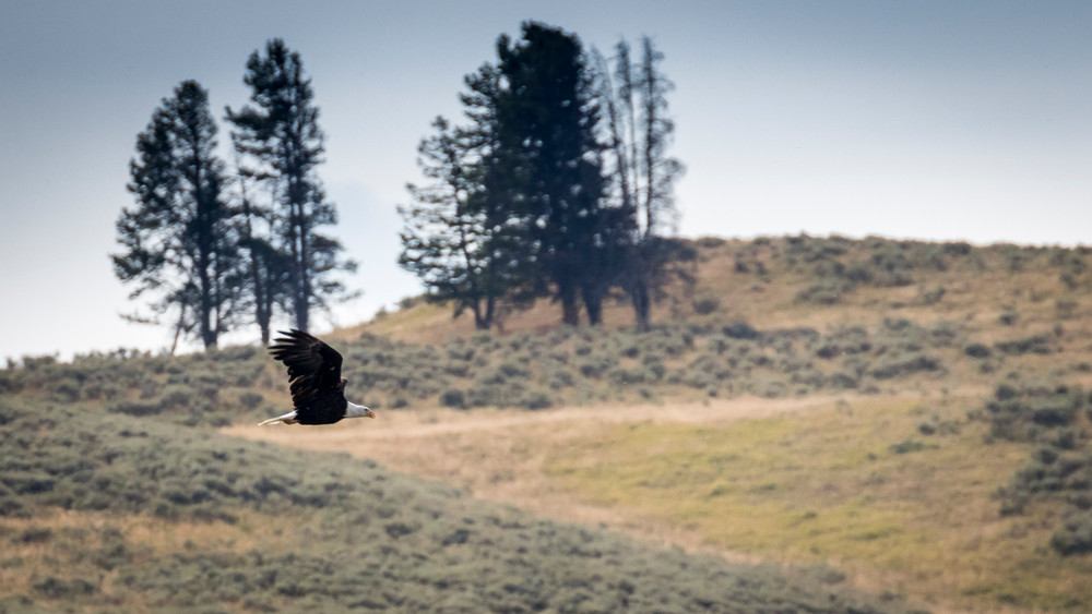 S00 A3783 Photography Art | Captured Adventure Photography