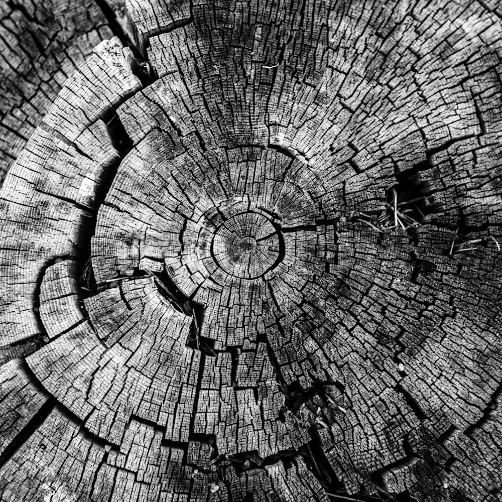 0 Y4 A8312 Photography Art | Captured Adventure Photography