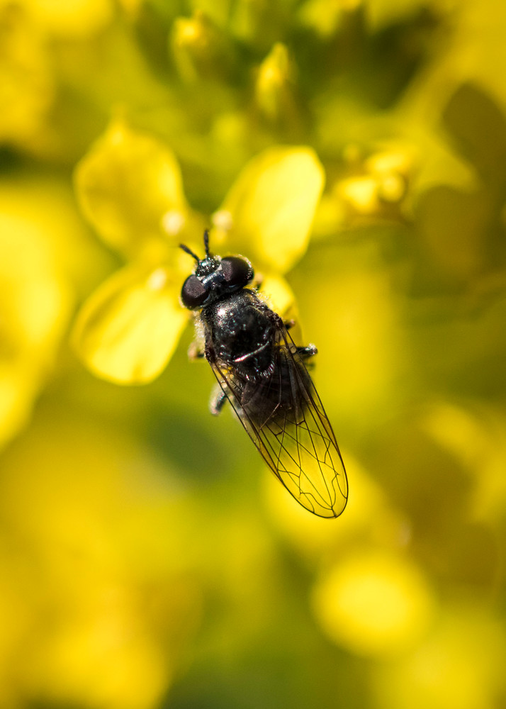 0 Y4 A5391 1 Photography Art | Captured Adventure Photography