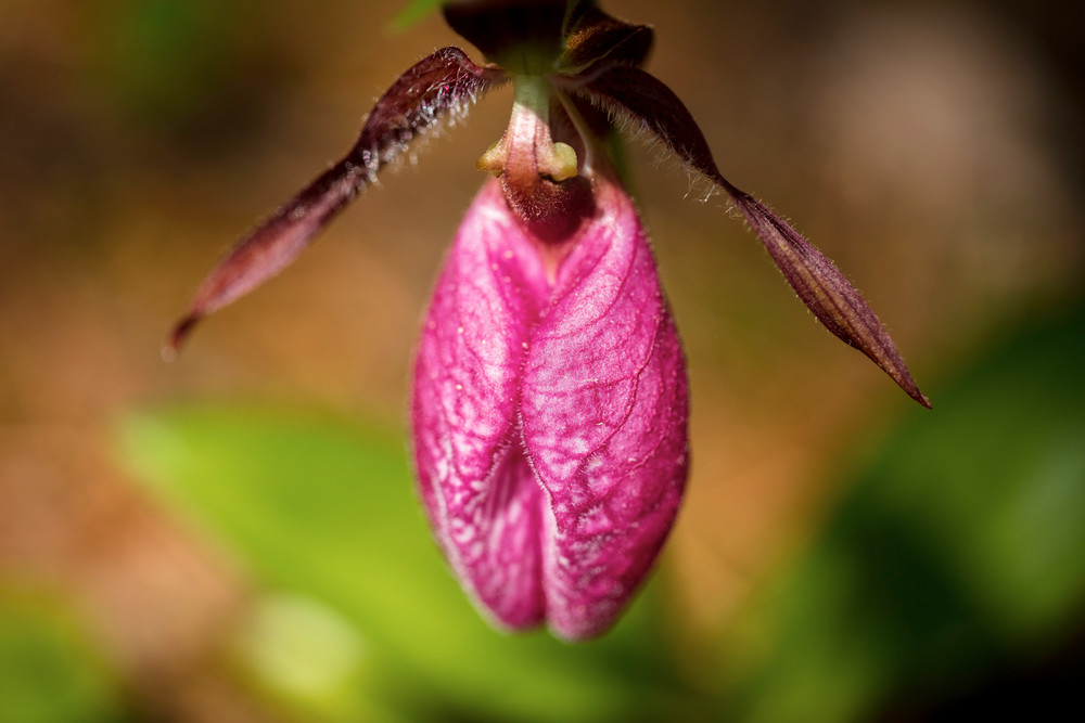 0 Y4 A5496 Photography Art | Captured Adventure Photography