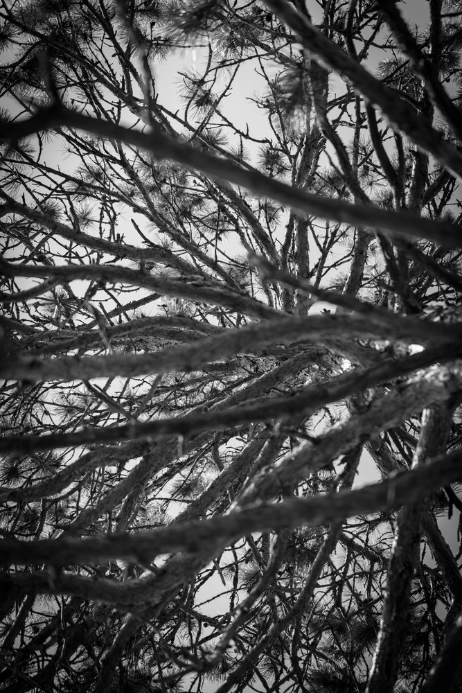 0 Y4 A5376 Photography Art | Captured Adventure Photography