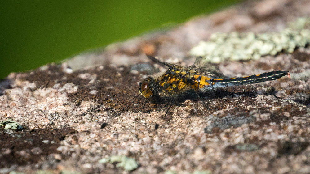 S00 A1887 Photography Art | Captured Adventure Photography