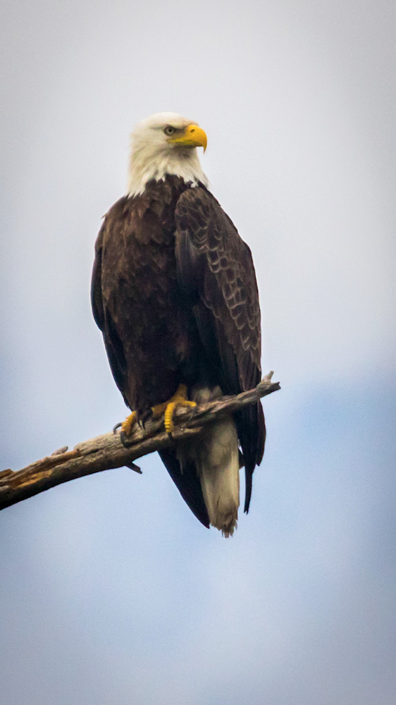 S00 A1972 Photography Art | Captured Adventure Photography