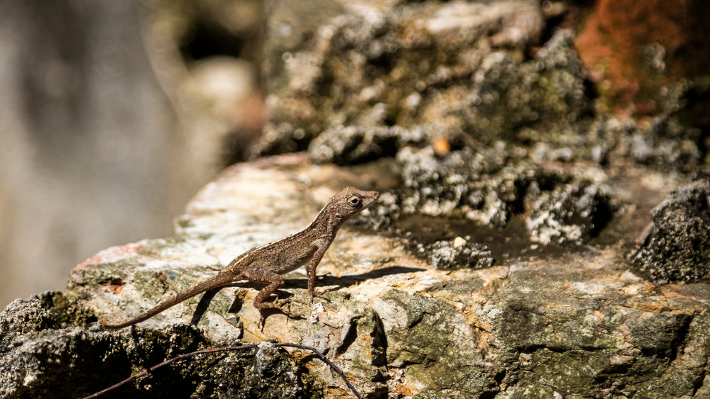 0 Y4 A9806 Photography Art | Captured Adventure Photography