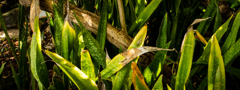 0 Y4 A9845 Photography Art | Captured Adventure Photography