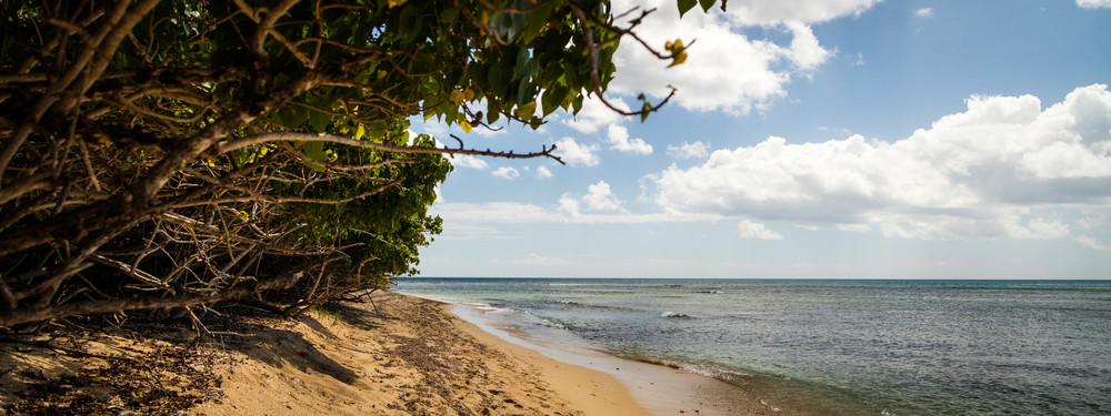 0 Y4 A9839 Photography Art | Captured Adventure Photography