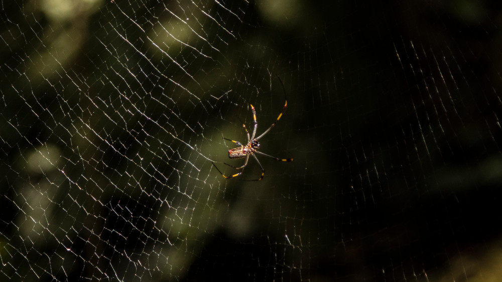 0 Y4 A9567 Photography Art | Captured Adventure Photography