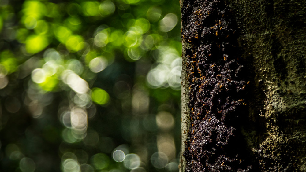 0 Y4 A9591 Photography Art | Captured Adventure Photography