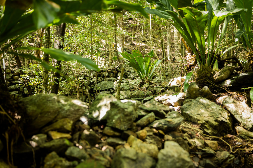 0 Y4 A9610 Photography Art | Captured Adventure Photography