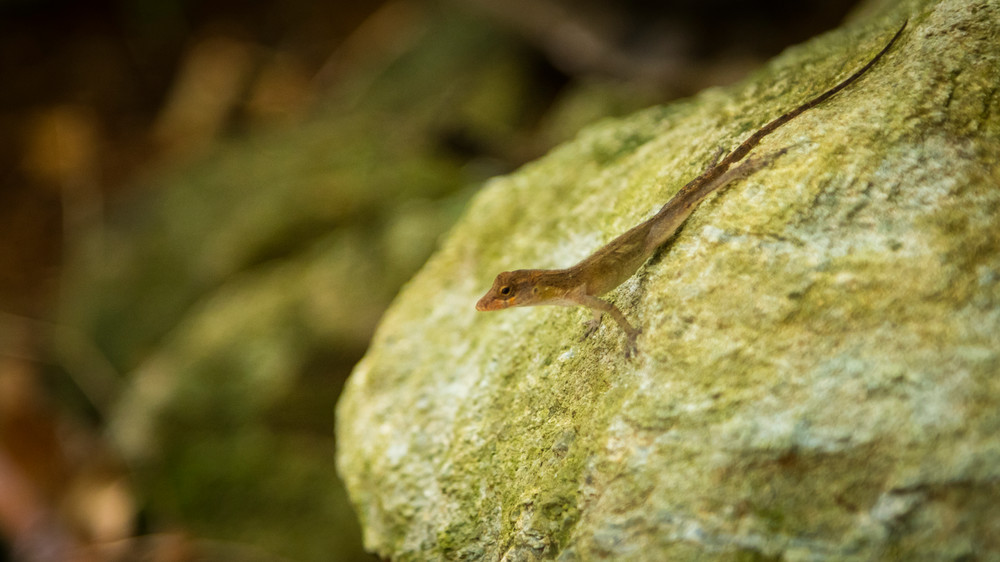 0 Y4 A9671 Photography Art | Captured Adventure Photography