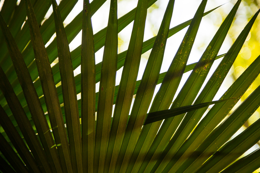 0 Y4 A9611 Photography Art | Captured Adventure Photography