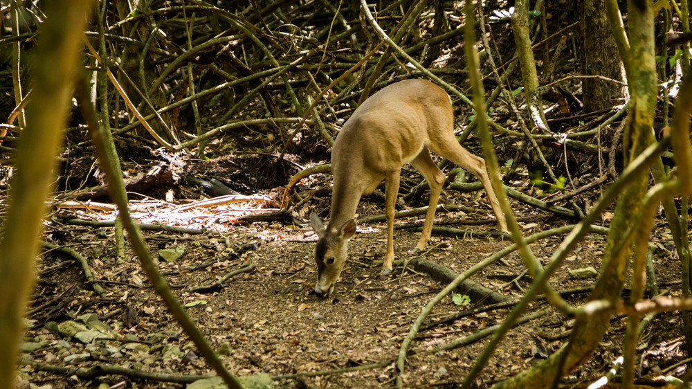 0 Y4 A9719 Photography Art | Captured Adventure Photography