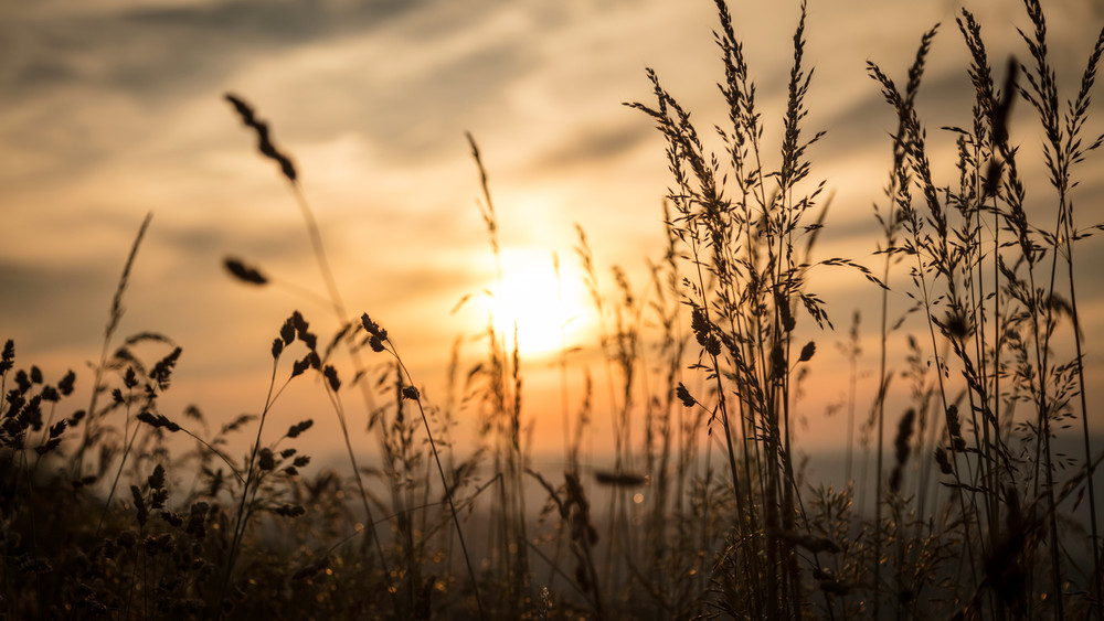 0 Y4 A4734 1 Photography Art | Captured Adventure Photography