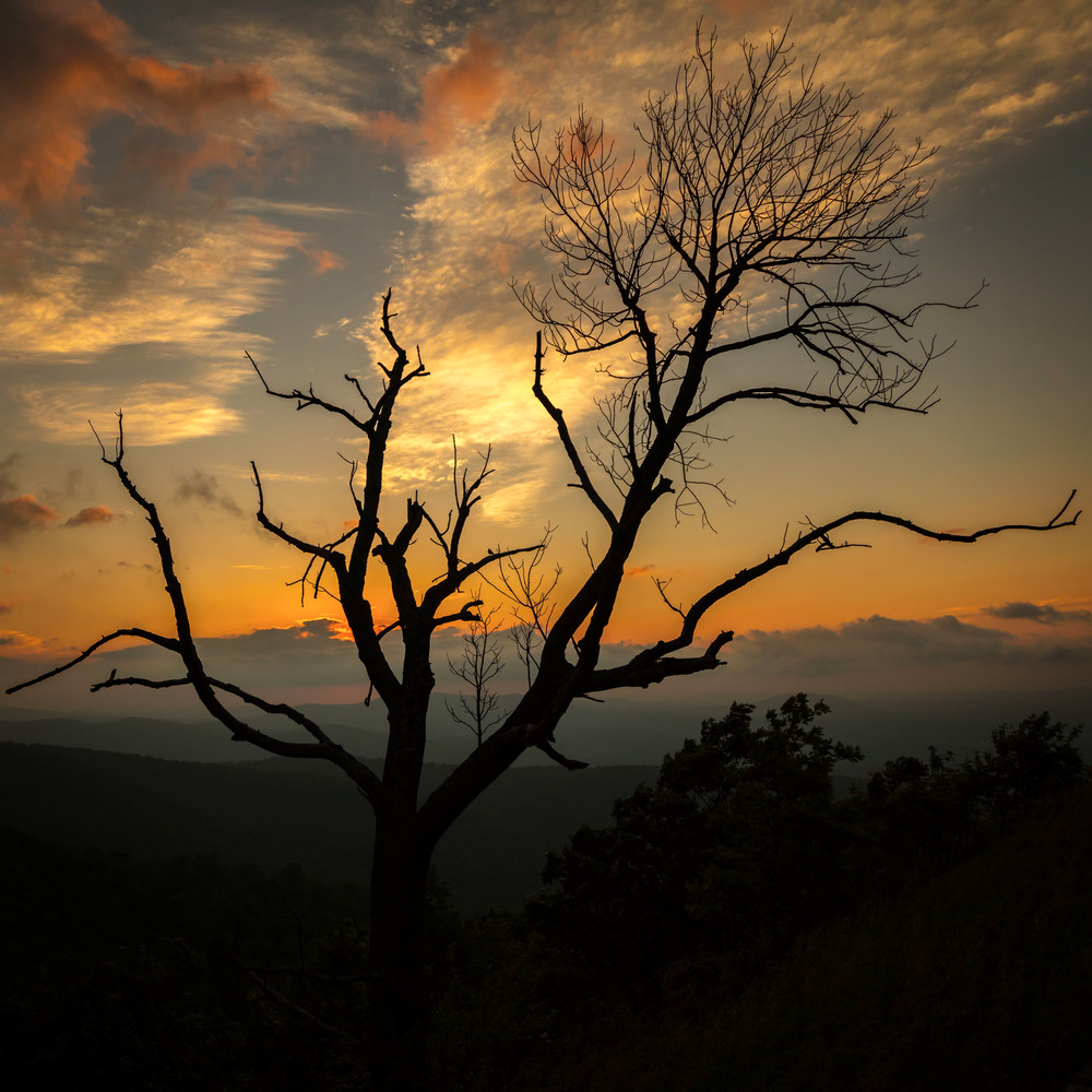 0 Y4 A5334 Photography Art | Captured Adventure Photography