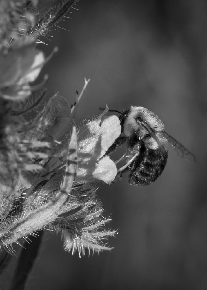 S00 A0184 Photography Art | Captured Adventure Photography