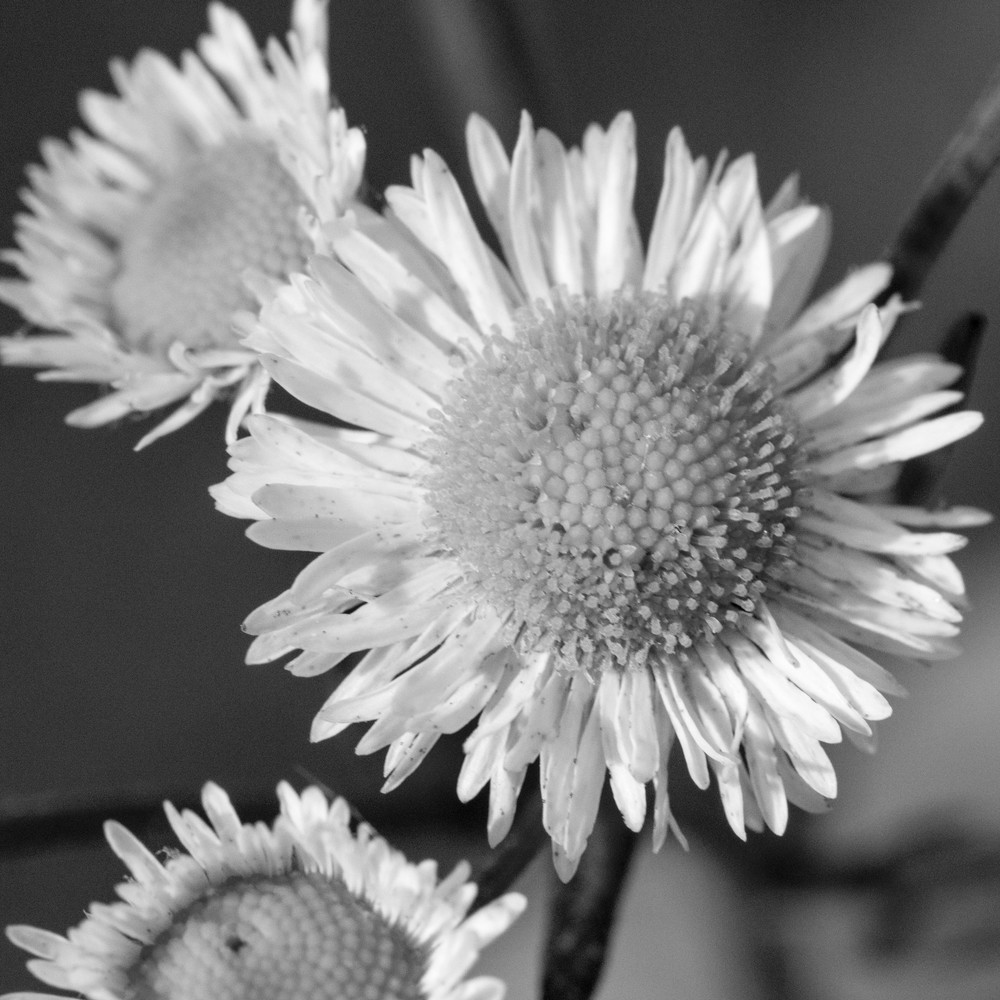 S00 A0096 Photography Art | Captured Adventure Photography