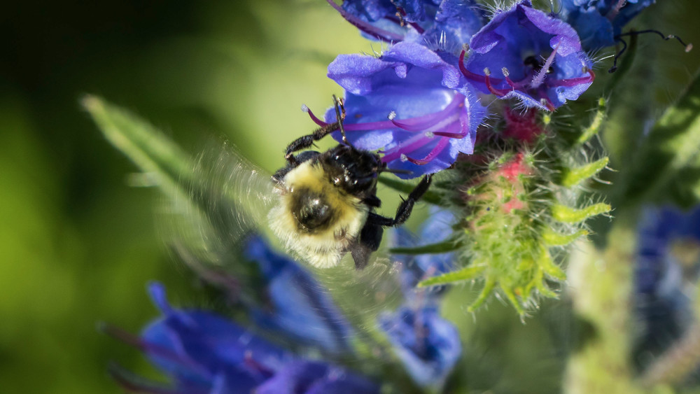 S00 A0203 Photography Art | Captured Adventure Photography