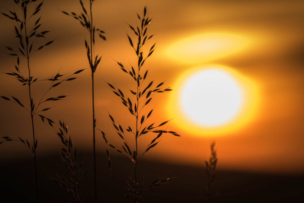 S00 A0230 1 Photography Art | Captured Adventure Photography