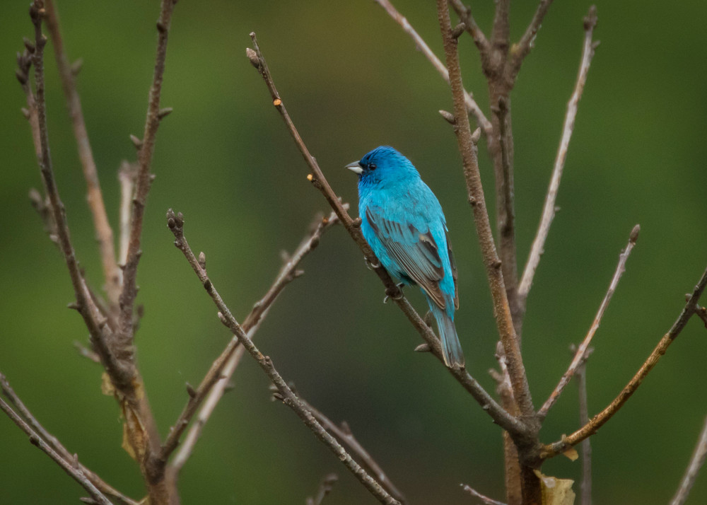 S00 A0414 Photography Art | Captured Adventure Photography