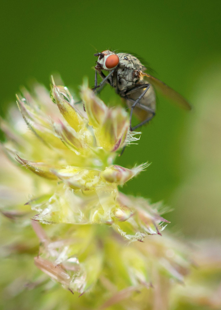 S00 A0509 Photography Art | Captured Adventure Photography