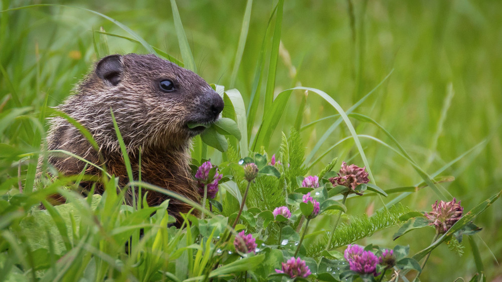 S00 A0825 Photography Art | Captured Adventure Photography