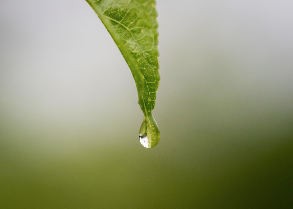 S00 A0550 Photography Art | Captured Adventure Photography