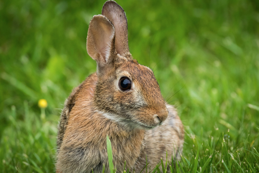 S00 A0270 Photography Art | Captured Adventure Photography