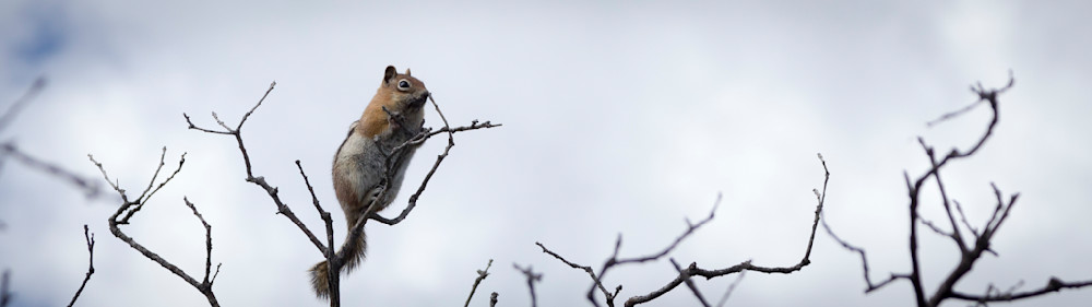 Mg 5336 Photography Art | Captured Adventure Photography