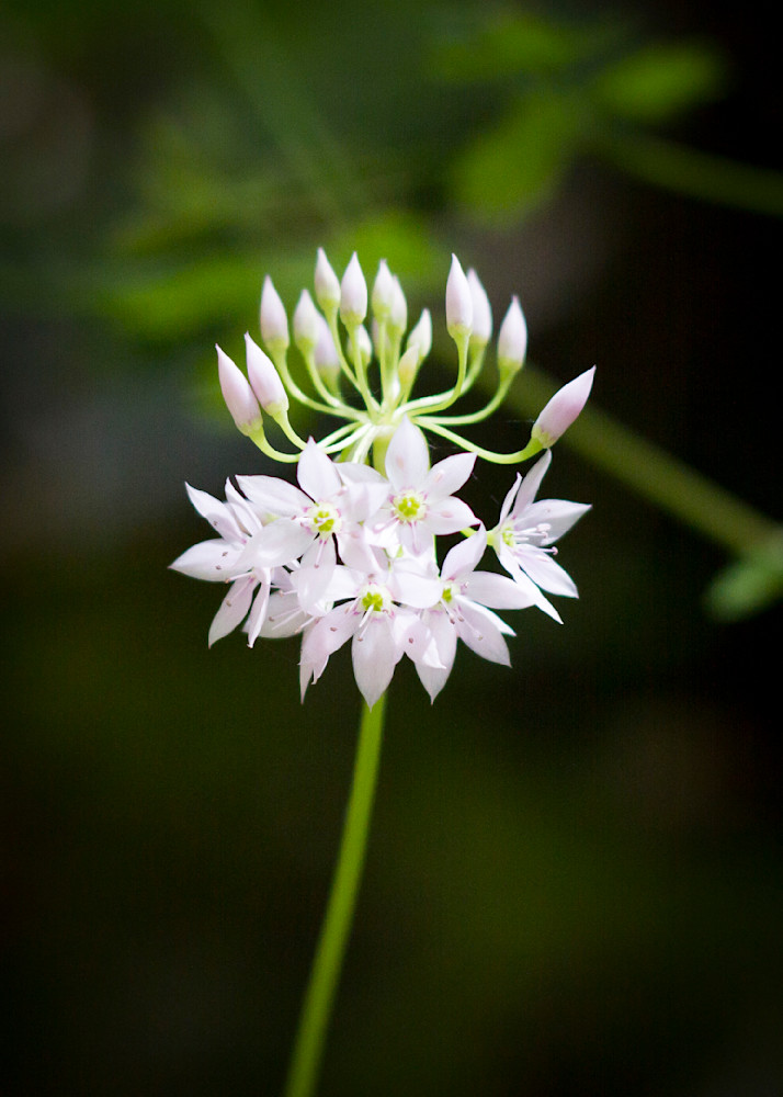 Img 6880 Photography Art | Captured Adventure Photography