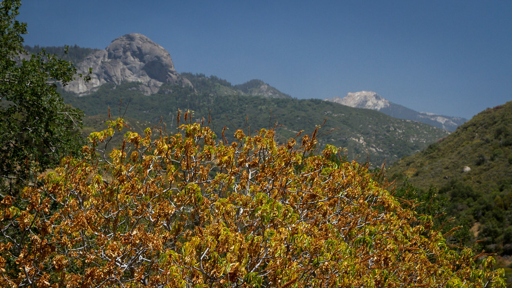 Img 6585 Photography Art | Captured Adventure Photography