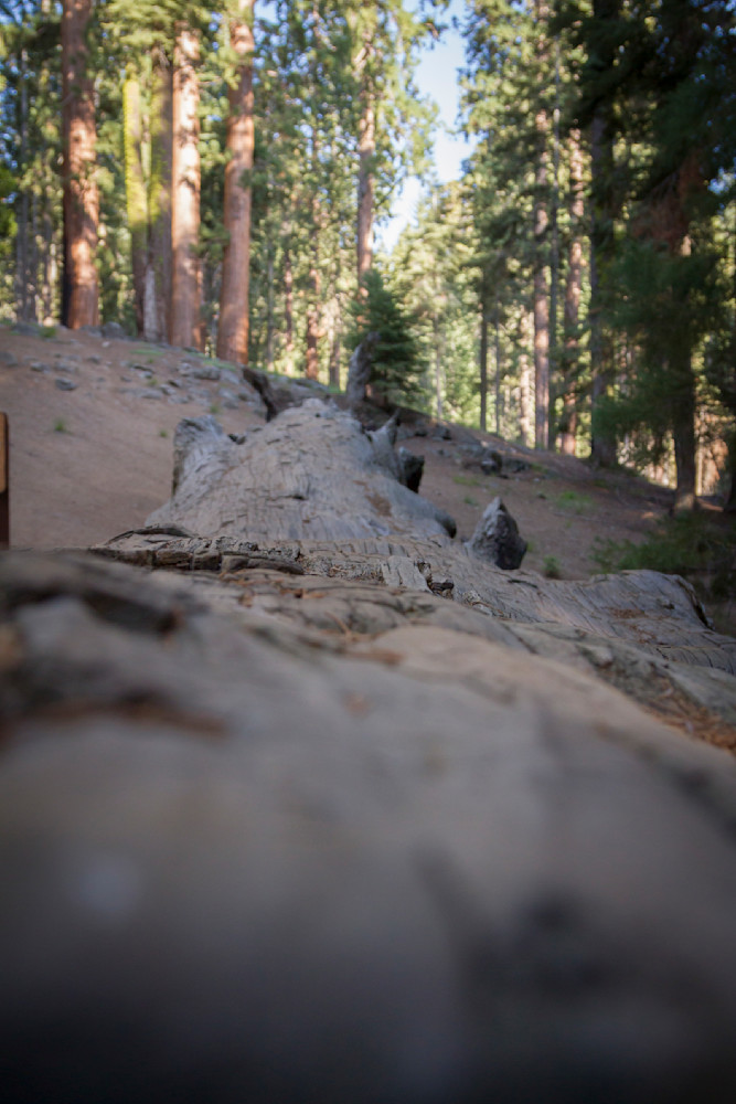 Img 7095 Photography Art | Captured Adventure Photography