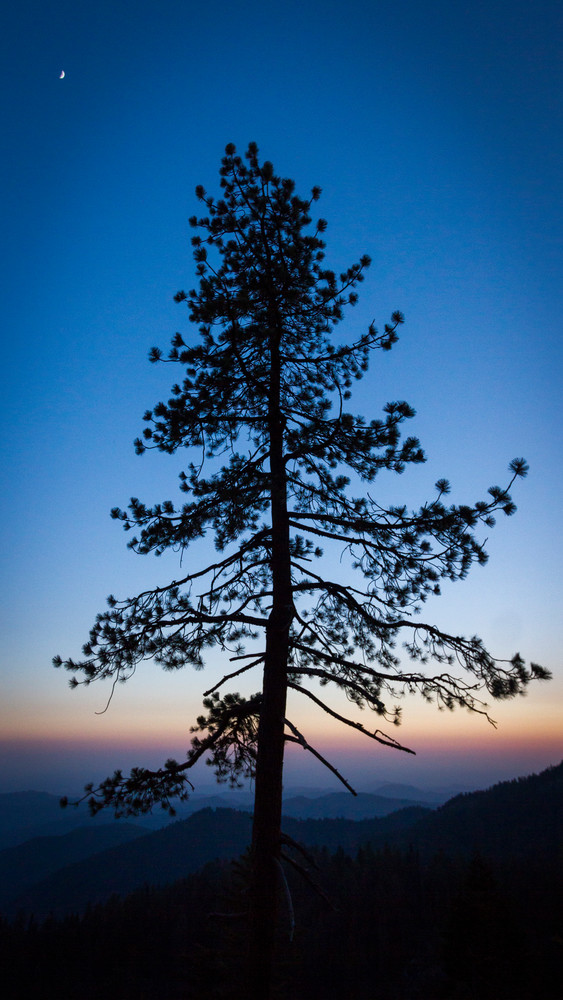 Img 7209 Photography Art | Captured Adventure Photography