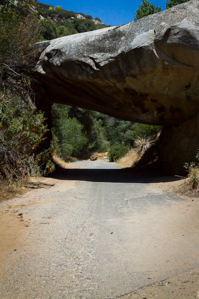 Img 6607 Photography Art | Captured Adventure Photography