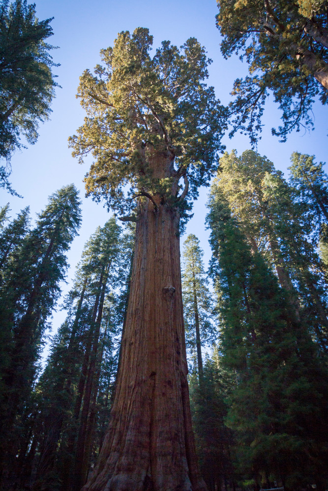 Img 7161 Photography Art | Captured Adventure Photography