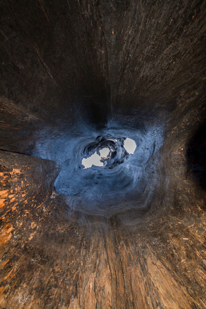 Img 7006 Photography Art | Captured Adventure Photography