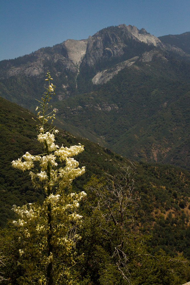 Img 6616 Photography Art | Captured Adventure Photography