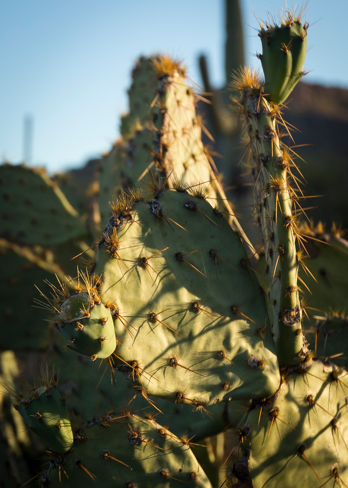 Mg 4075 Photography Art | Captured Adventure Photography